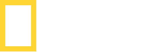 Geo TV